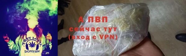 эйфоретик Кукмор