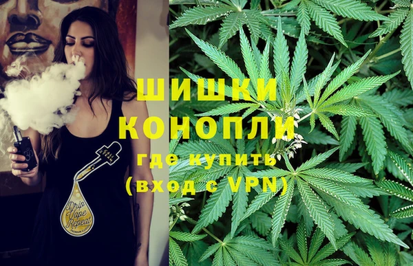 2c-b Лабытнанги