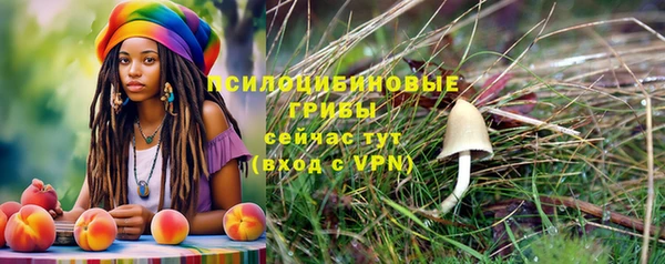 гидра Алексин