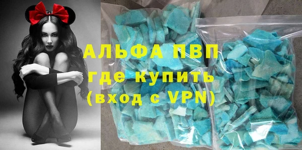 гидра Алексин