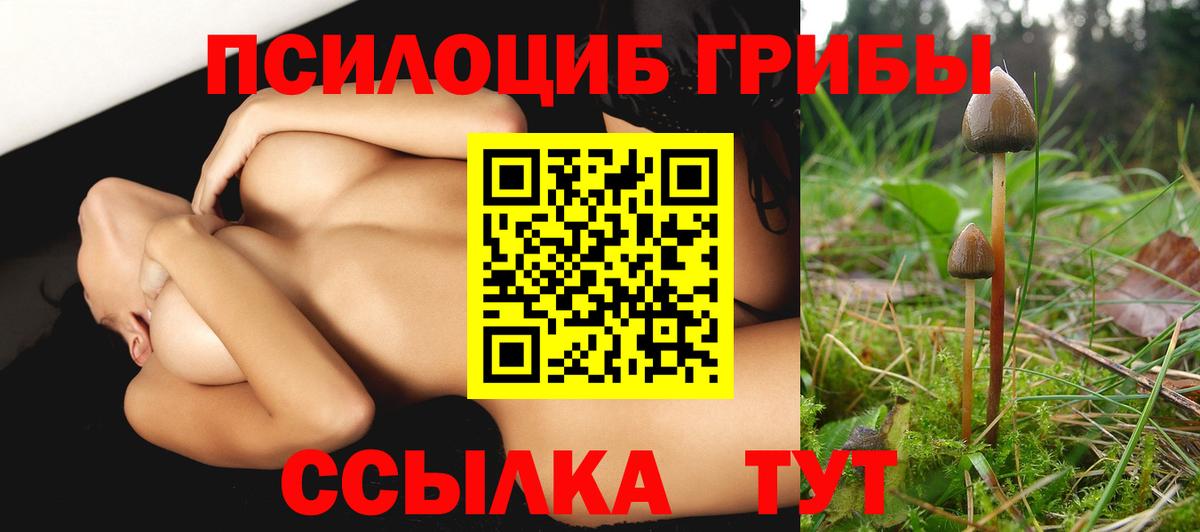 Галлюциногенные грибы Psilocybe  Галлюциногенные грибы Psilocybine cubensis  Лесной  Вход с VPN 